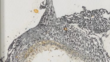 زندگی ابدی